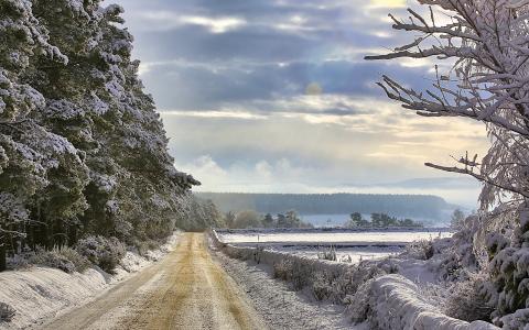 道路，冬天，景观