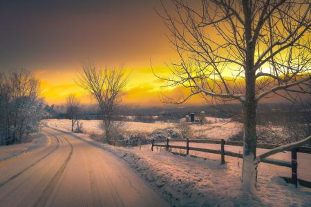景观，冬天，日落，雪，路