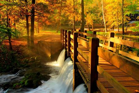 hdr，走，胡同，森林，河，叶子，公园，自然，秋天，树木