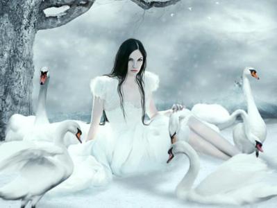 童话故事，白色，天鹅，雪白，羊群