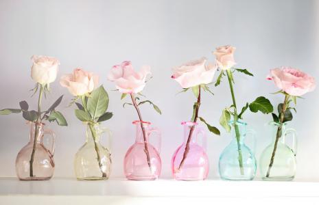玫瑰，花蕾，器皿