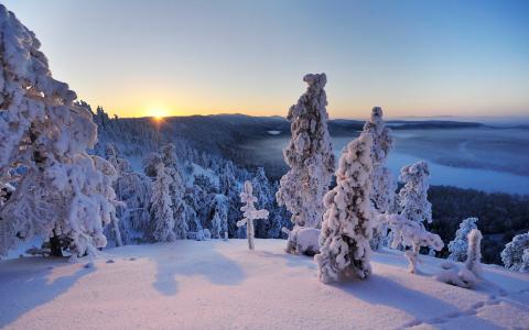 Konttainen，Ruka，库萨莫，芬兰，手，库萨莫，芬兰，雪，冬天，树，全景，景观