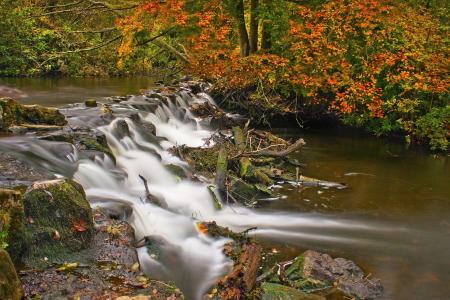 河，秋天，森林
