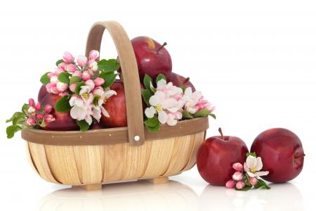 红苹果，篮子，苹果树的花朵