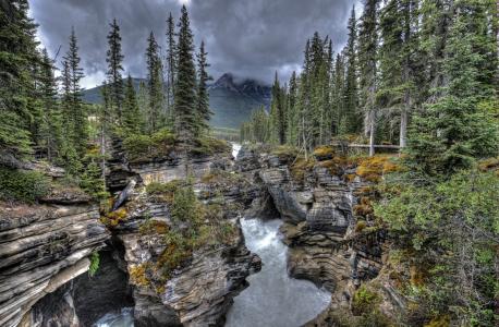 瀑布，树木，阿萨巴斯卡瀑布，贾斯珀，加拿大艾伯塔省，阿萨巴斯卡瀑布，贾斯珀国家公园，加拿大艾伯塔省