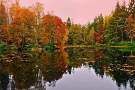 秋天，森林，湖泊