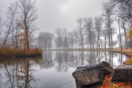 秋天，公园，池塘，树木，雾，景观