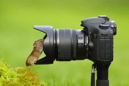 相机，鼠标，镜头