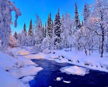 冬天，河，雪，景观