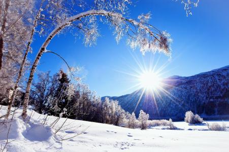雪，太阳，树木