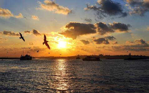 伊斯坦布尔，日落，海，海鸥，船舶