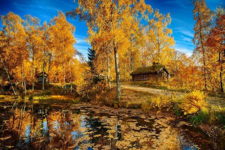 景观，自然，秋季，湖，树木，房子，路，挪威