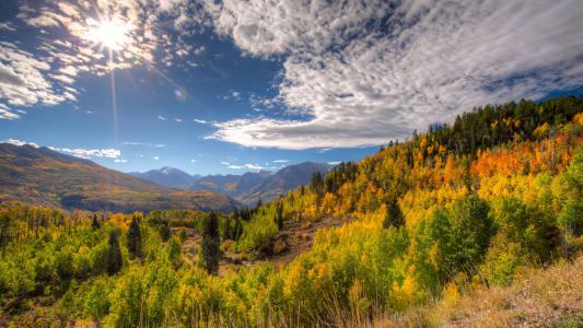 马里，科罗拉多州，秋天，山，树，景观