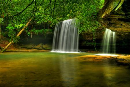 卡尼溪瀑布，Bankhead国家森林，阿拉巴马州，瀑布，河流，树木