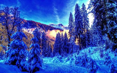 山，冬天，奇迹，中，蓝色，色调