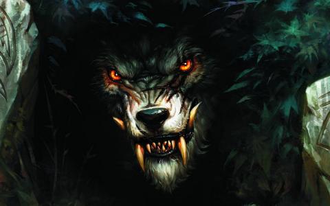 狼人,牙齿,狼,野兽
