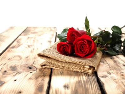 玫瑰，芽，餐巾，板