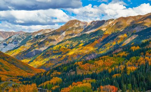 秋天，山，森林，森林，科罗拉多州，秋季，美国，科罗拉多州