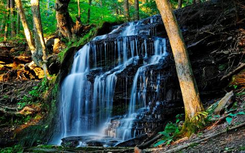 木材，瀑布，自然