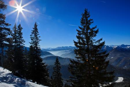 巴伐利亚阿尔卑斯山，德国巴伐利亚阿尔卑斯山，德国山，云杉