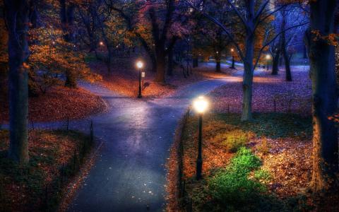 公园，晚上，秋天，灯光