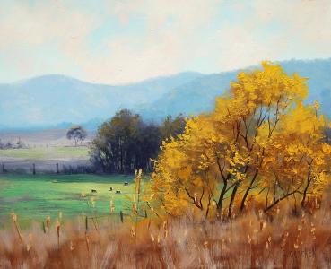 artsaus，绘画，艺术，农村bathurst澳大利亚