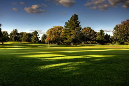 高尔夫球场，夏天，天空，草，自然，树木