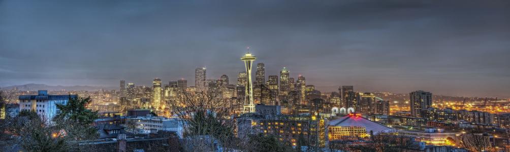 西雅图，全景，夜晚的城市，建筑物，灯