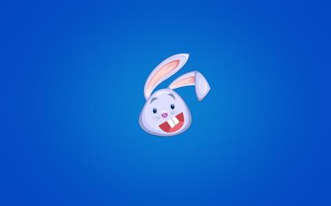 快乐，快乐，野兔，兔子