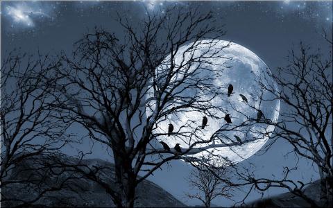 满天星斗的天空，月亮，树枝上的乌鸦