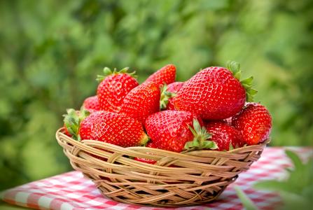 草莓，新鲜，浆果，草莓，成熟，浆果，红色，篮子