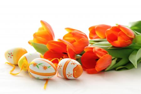 复活节，郁金香，鸡蛋
