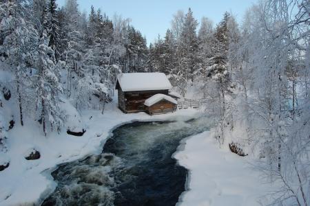 冬季，欧兰卡公园，芬兰，斯诺