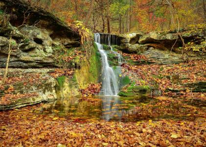 秋天，岩石，森林，树木，瀑布，性质