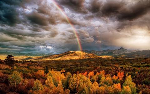森林，彩虹，山脉