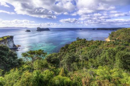 科罗曼德半岛，新西兰，пейзаж