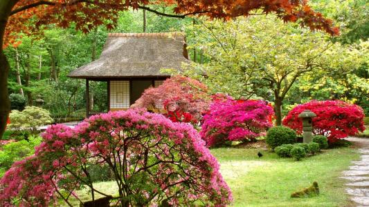 日本，花园，壁纸