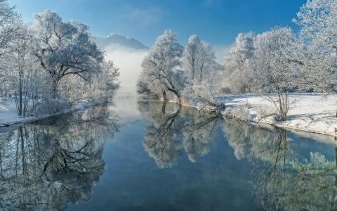 河，树，白霜，冬天，反射