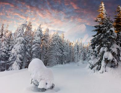 冬天，树木，山脉，森林，雪，雪堆