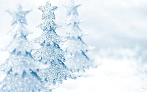 圣诞树，绘图，雪