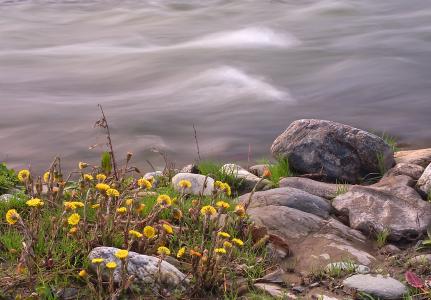 河，石头，鲜花，性质