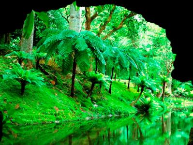 石窟，丛林，河流，绿色世界