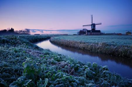 荷兰，冬天，早晨，黎明，树木，领域，白霜，轧机，蓝色，丁香，天空