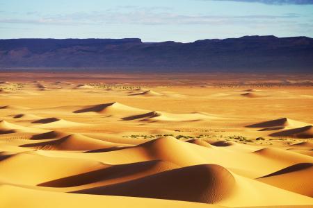 沙漠，沙丘，沙滩，自然，风景