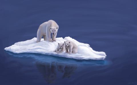 北极熊，北极熊，熊，小熊，浮冰，冰上的熊，艺术