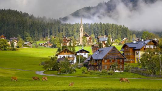 奥地利，村庄，房屋，牛，戈绍村，奥地利