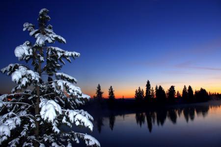 日落，冬天，河，树，景观