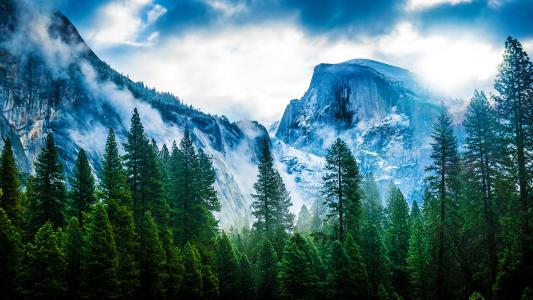 优胜美地国家公园，优胜美地，加利福尼亚，内华达山脉，优胜美地国家公园，优胜美地，加利福尼亚，内华达山脉，山脉，森林，树木