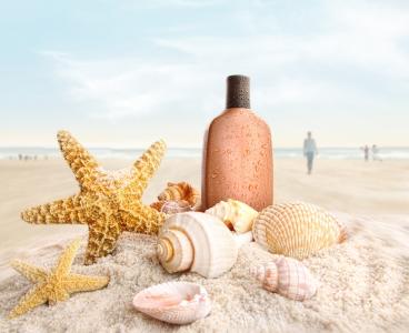 沙子，贝壳，海星，海滩