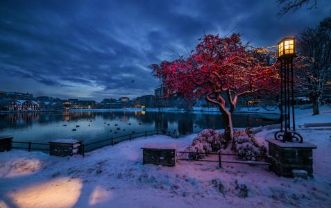 挪威，罗加兰，斯塔万格，冬天，雪，暮光之城，灯，路灯